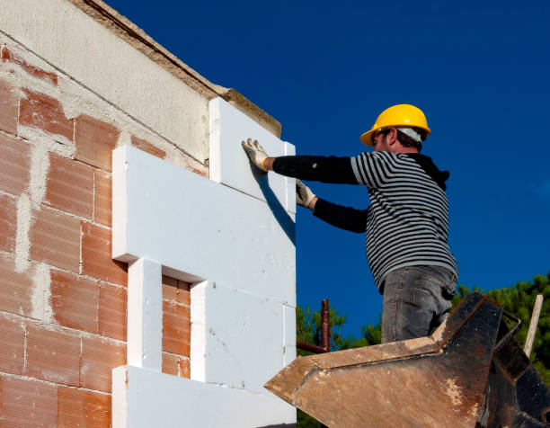 Best Eco-Friendly Insulation in Lake Isabella, MI