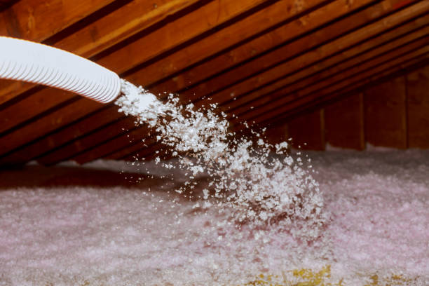 Best Fiberglass Insulation in Lake Isabella, MI