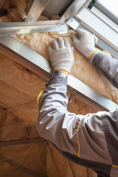 Best Cellulose Insulation in Lake Isabella, MI