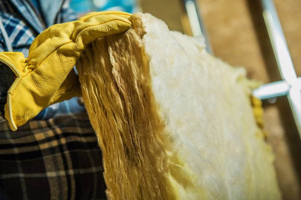 Best Insulation Maintenance and Repair in Lake Isabella, MI