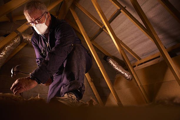 Best Spray Foam Insulation in Lake Isabella, MI